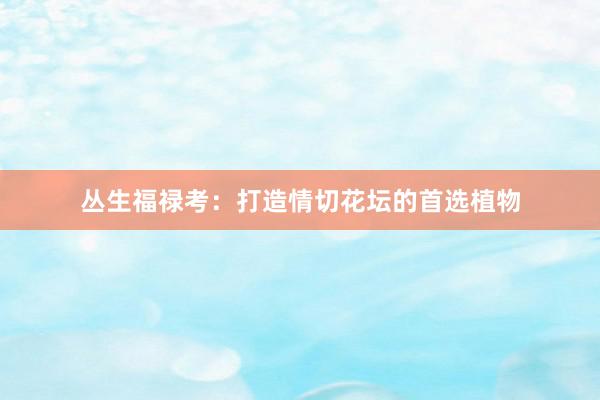 丛生福禄考：打造情切花坛的首选植物