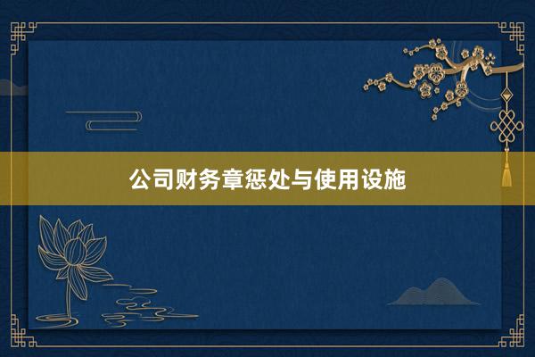 公司财务章惩处与使用设施